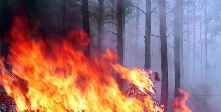 Фото: dsns.gov.ua