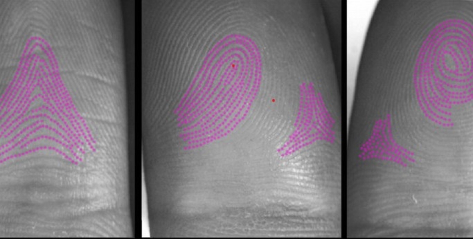 відбитки пальців пальці, лінії, відбитки