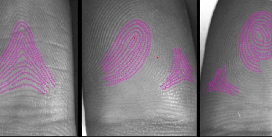 отпечатки пальцев