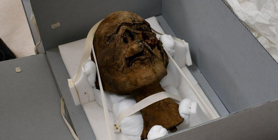 голова мумии, ящик, фото
