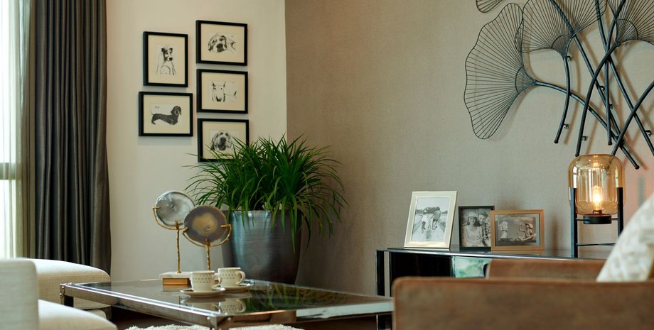 що знову в тренді в дизайні житла