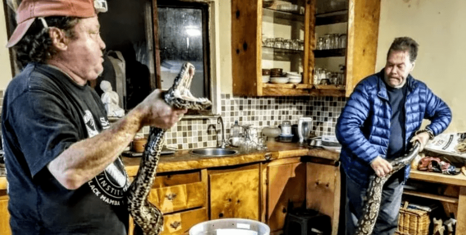 Питона на своей кухне обнаружила пенсионерка из Южной Африки, рептилия, пресмыкающееся, змея в доме, фото, курьезы