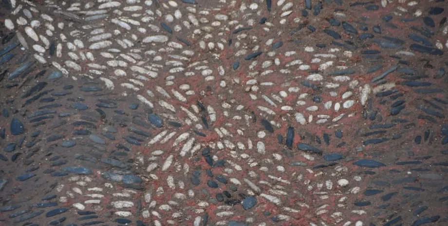 мозаика, археология, Турция, раскопки, находка, артефакты, история, цивилизация, древние люди,