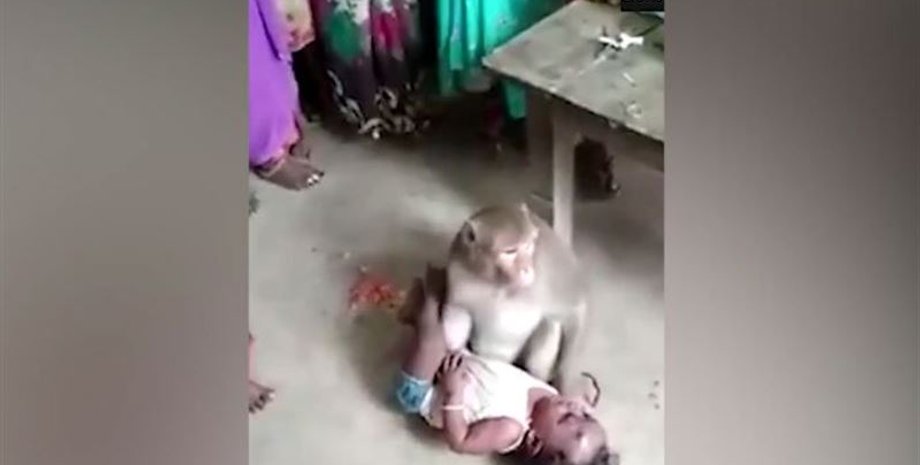 Кадр из видео