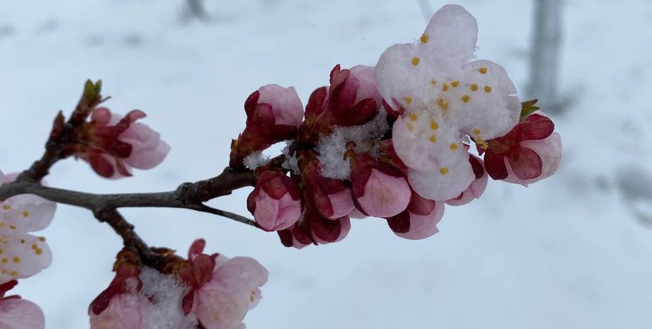 Прогноз погоди, погода, погода на завтра