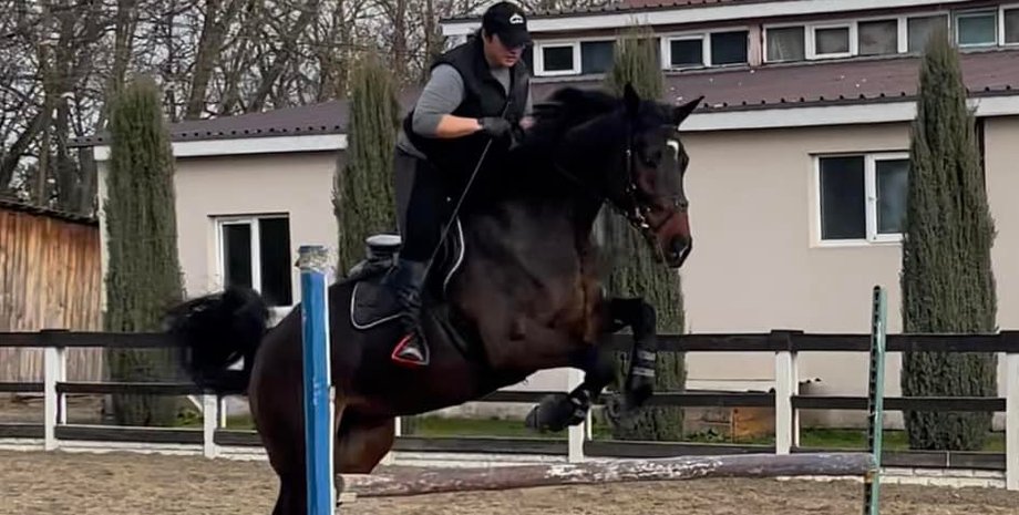 бои за гостомель, макаров, новости гостомеля сейчас, конюшня гостомель, кск александрия гостомель, кск александрия