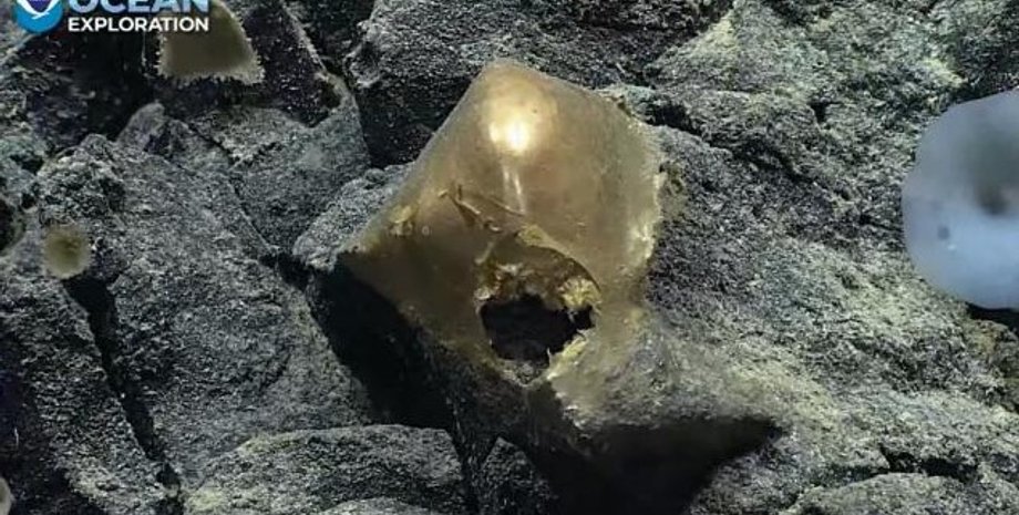 золоте яйце, яйце в океані, океан