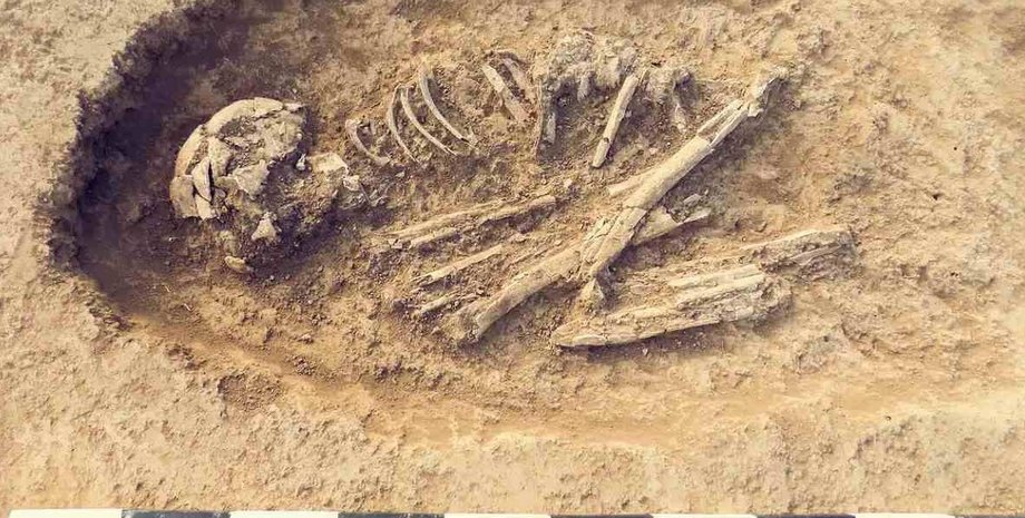 останки, Японія