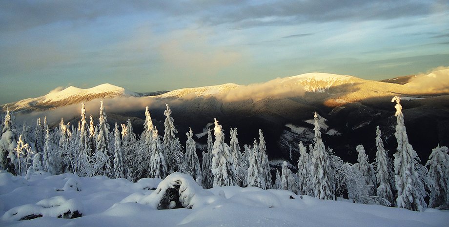 Фото: открытые источники
