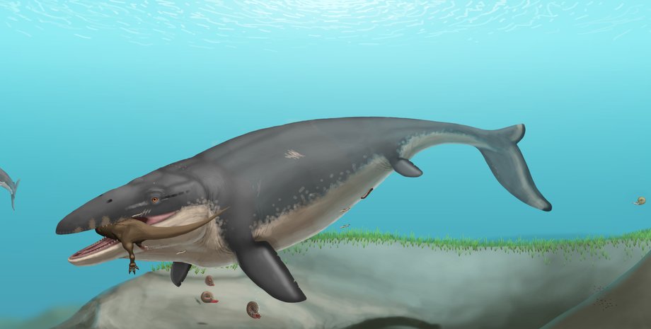 древние морские хищники, плиозавр, морские чудовища, юра, мел, морские рептилии, мозазавры, сравнение хищников, доисторические хищники, ископаемые находки