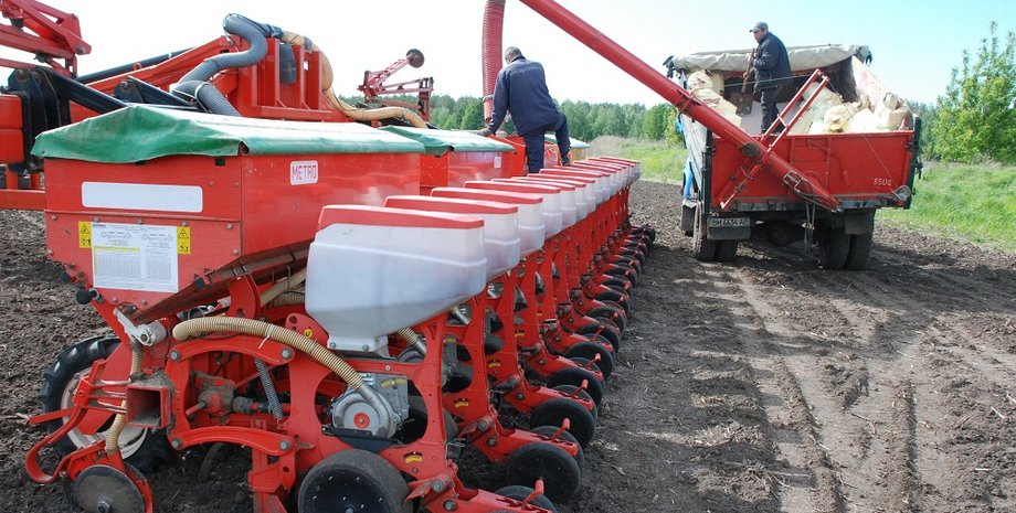 Фото: Getty Images