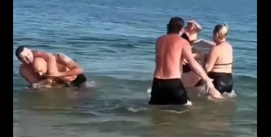 Бердянск, медузы, драка,