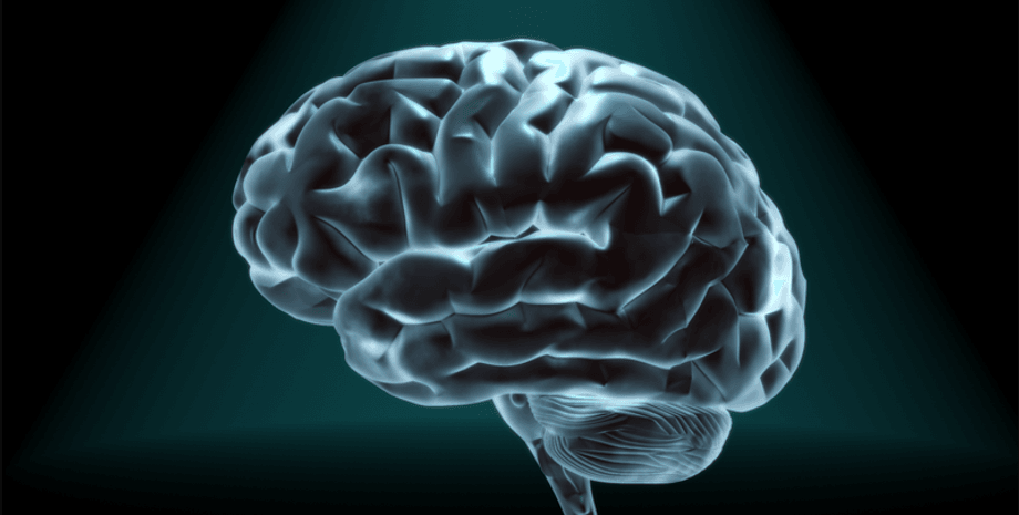 Фото: Medical Xpress