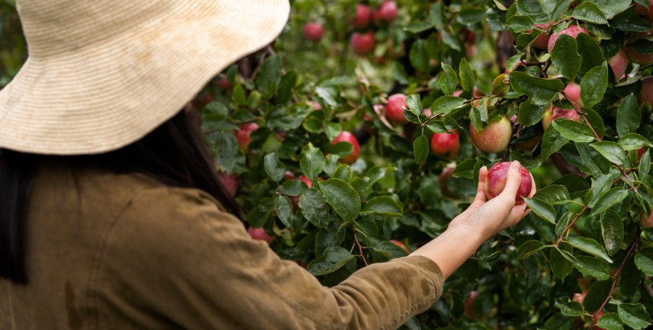 Месть зашла слишком далеко: женщину раскритиковали за ее поступок из-за действий соседей