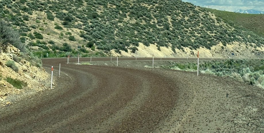 Нашествие сверчков