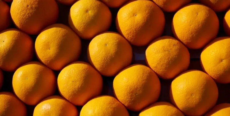 цитрусовые, апельсины