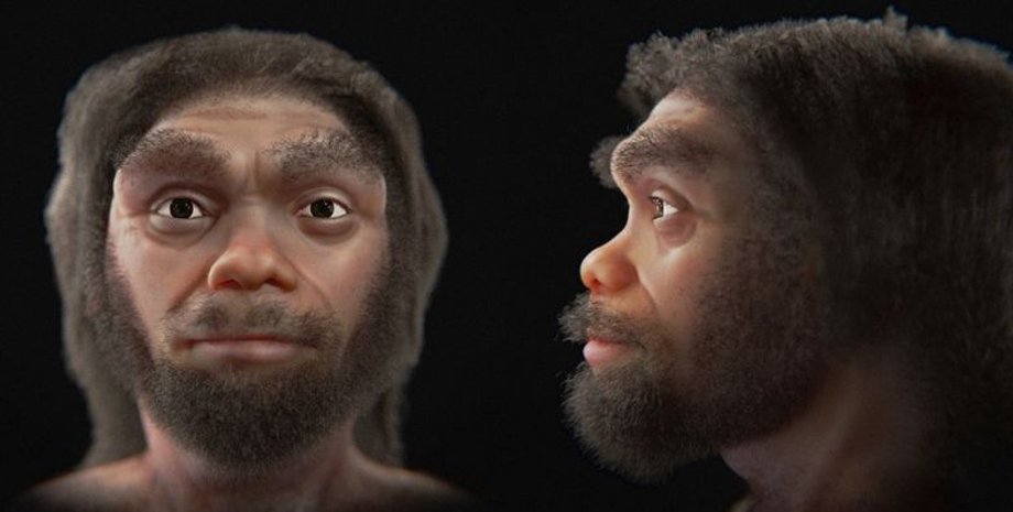 череп, реконструкція, людина-дракон, історія, Китай, неандертальці, вид, гомінін, сучасні люди, денисівці, зовнішність, дослідження, Homo sapiens, Homo longi, еволюція, люди, обличчя, тіло, томографія