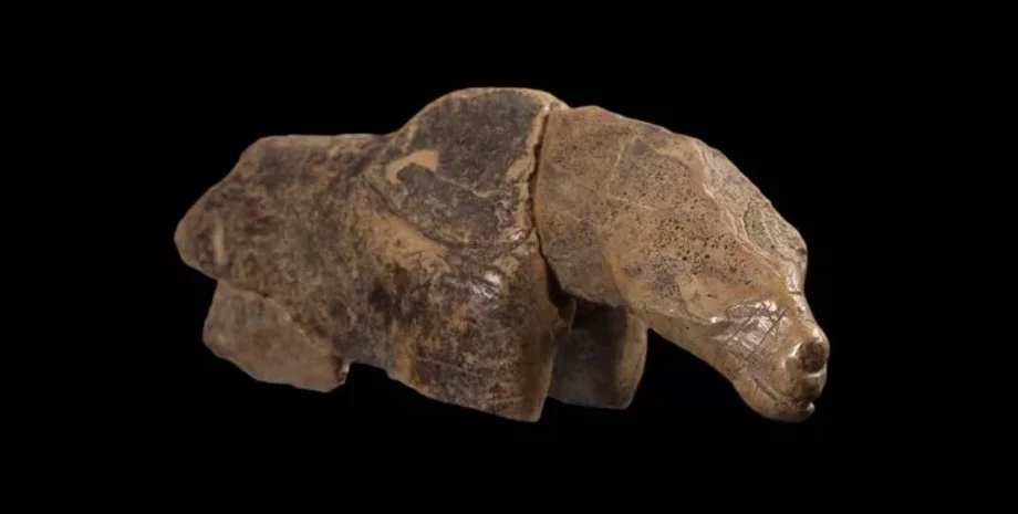 артефакт, лошадь, медведь, лев, пещера, Германия, слоновая кость, археологи, археология, археологические раскопки, исследования, животное, ледниковый период, артефакт, музей, фигурка