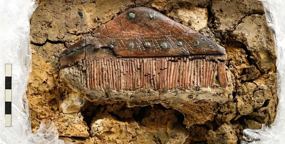 археологи, археология, раскопки, Германия, алеманы, захоронение, история, человек, останки, артефакты, находка, открытие, исследование, человек, Рейн, ученые