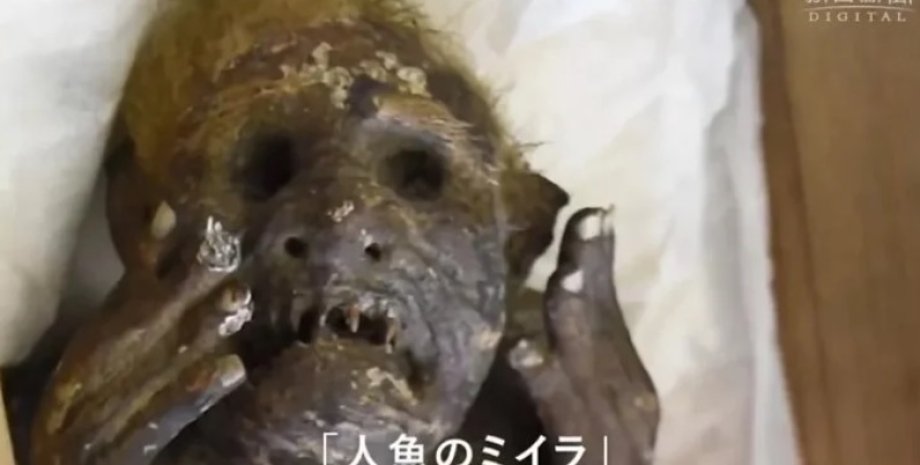 мумия, русалка, Япония