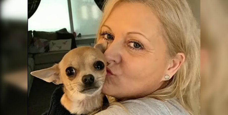 Аманда Хоммо, чихуахуа