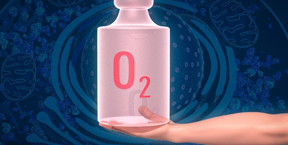 The Nobel Committee for Physiology or Medicine. Ill. Mattias Karlén