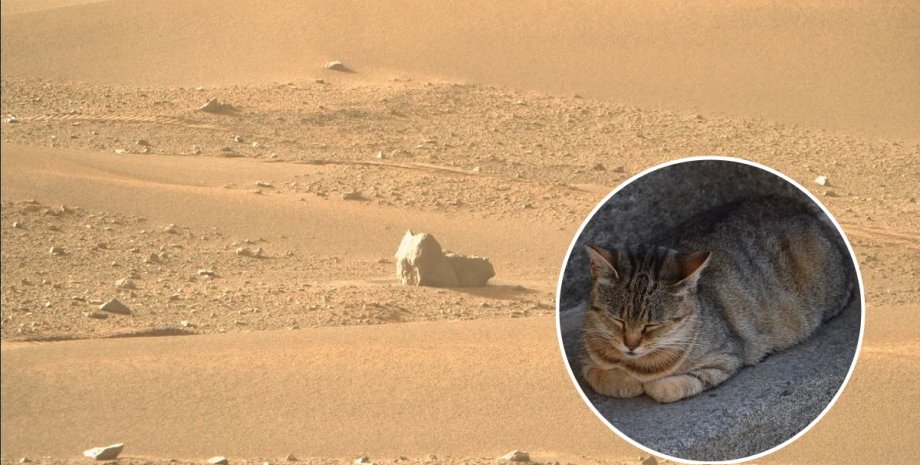 камінь у вигляді кота, Марс, поверхня Марса, фото