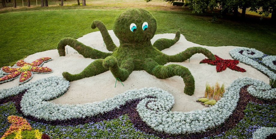 Выставка цветов на Певчем поле / Фото: facebook.com/kievzelenbud