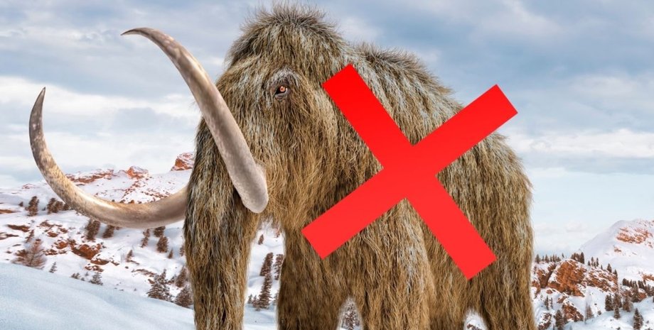 мамонт мамонт