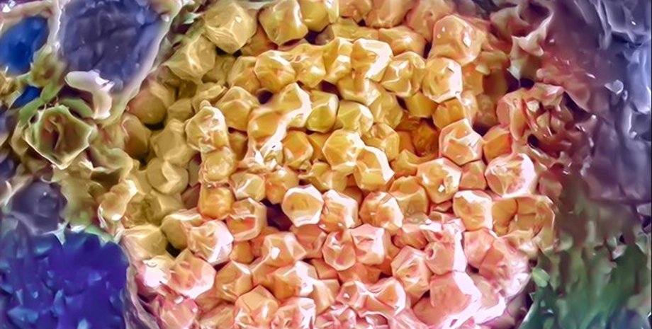 відкладення води