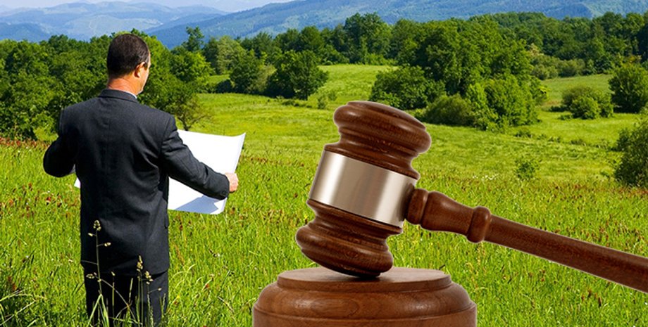 Коллаж: AgroPortal.ua