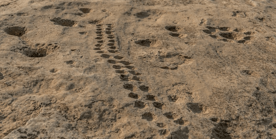 исследования, наскальные рисунки, петроглиф, катар, история, находка, резьба, археология, аравийский полуостров, древние люди, Аль-Джассасия