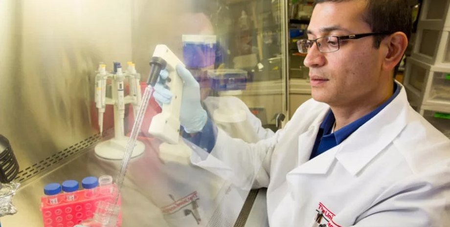 клей, гидрогель, мозг, черепно-мозговые травмы