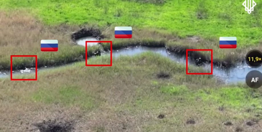 покровское направление, сс рф, нгу, спартан, плавучее наступление, вплавь, война в украине, бои на донетчине, покровск