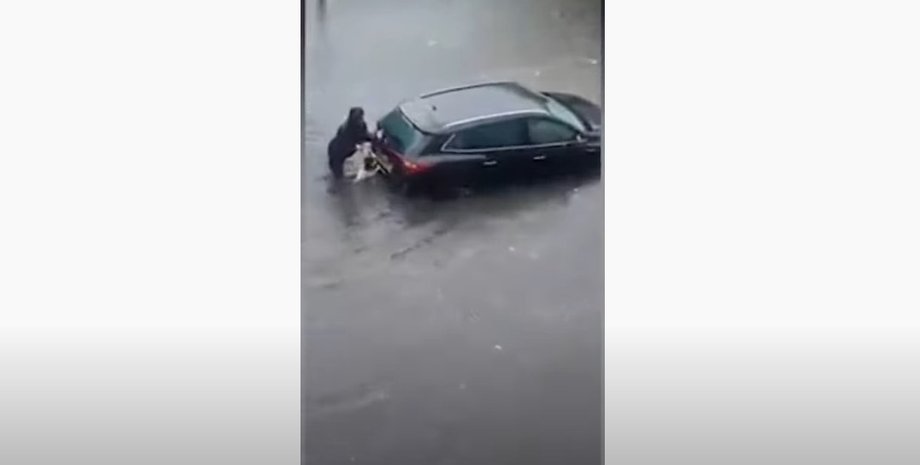 собака, машина, помощь