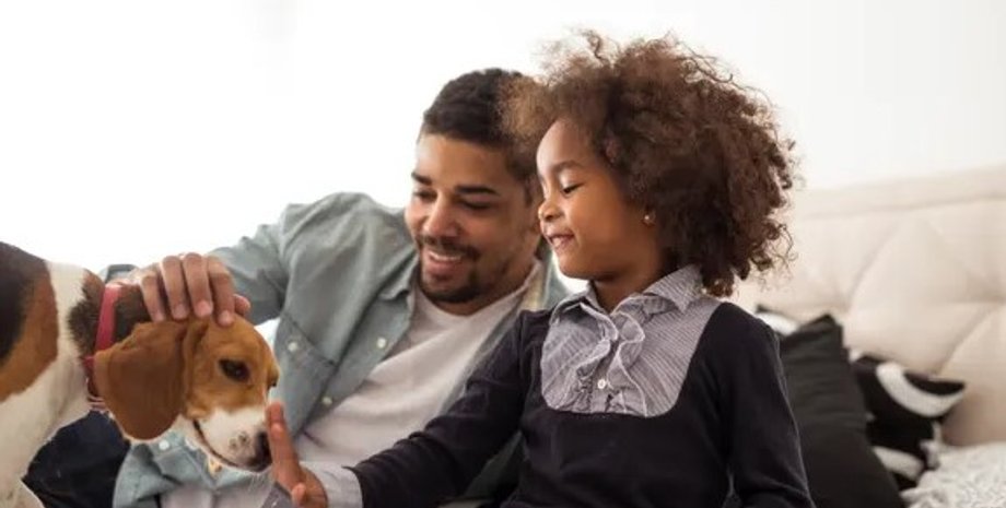 дети, животные