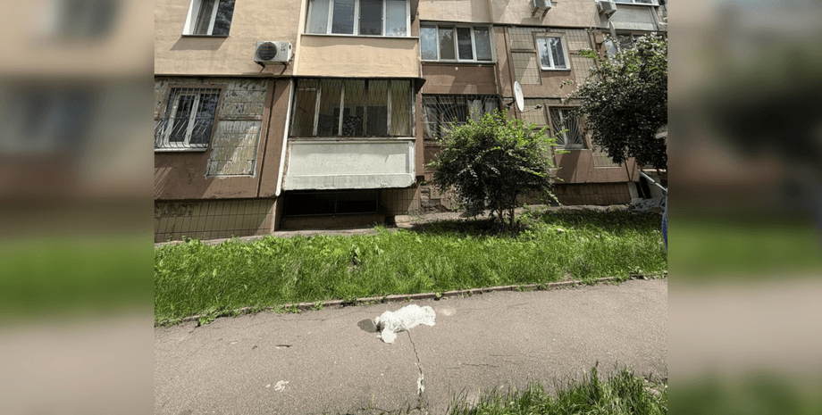Тело собаки, как выбросили из окна в Киеве