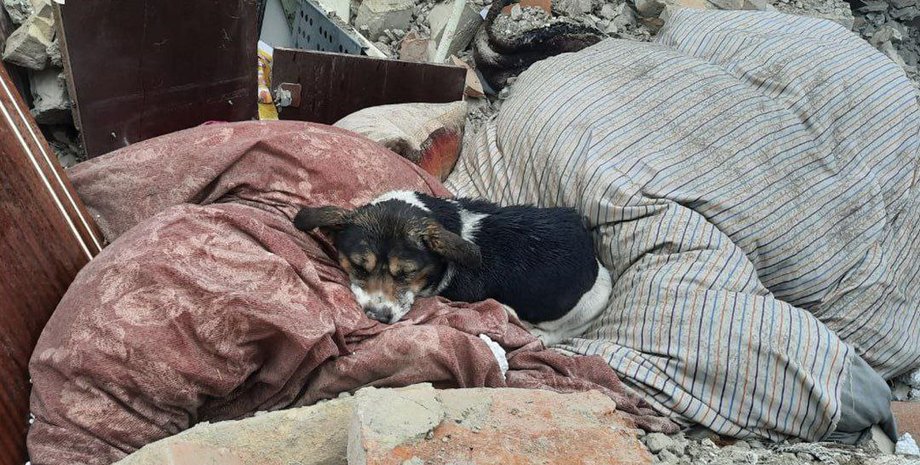 новости львова, ракетный удар на львовщине, ПВО, Львовская ОВА