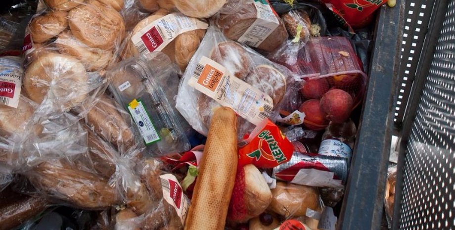 Фото: Germania.One