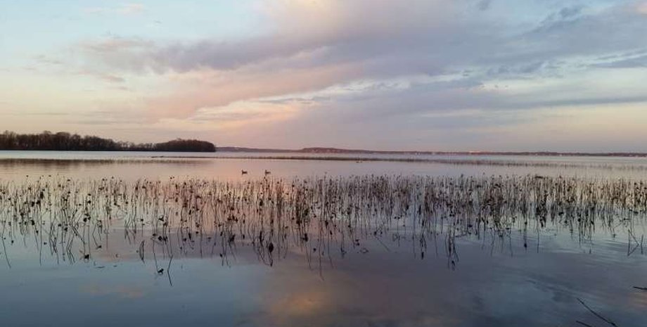 озеро, бактерии в озере, озеро бактерии