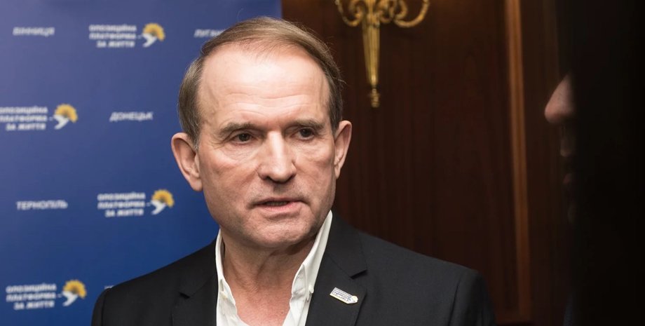 Дочь Медведчука возглавила компании в РФ с миллиардными активами и виллой в Крыму — СМИ Медведчук