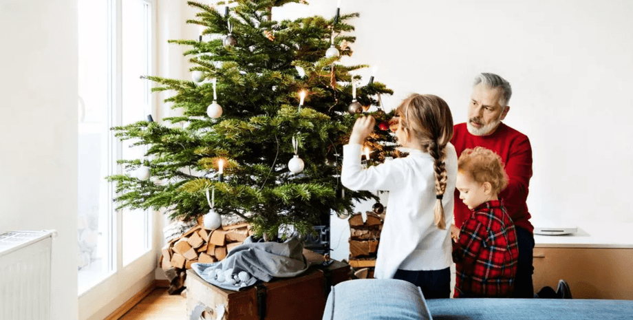 Новый год, Рождество, елка, праздник