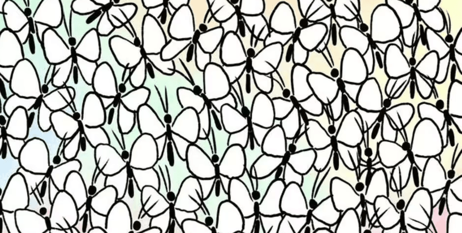 Визуальная головоломка, тест, задача, загадка, проверка зрения, орлиное зрение, найдите муравья, бабочки, квест, внимательность