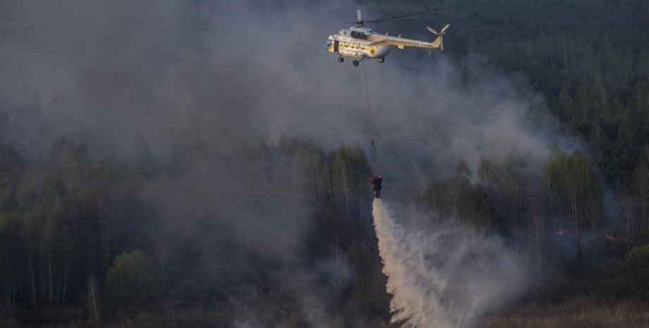 Тушение лесного пожара / Фото: "РИА Новости"