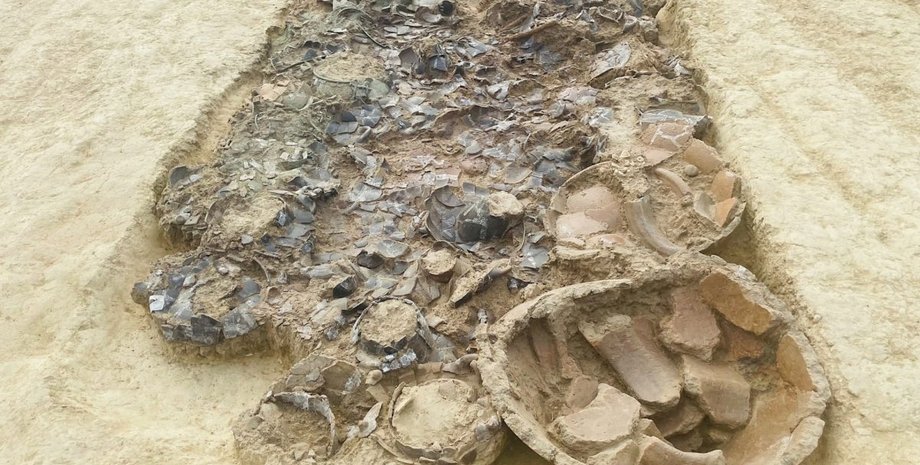 князь, пицены, могила, гробница, захоронение, артефакты, раскопки, культура, исследователи, Италия, предмет, культура, Коринальдо, археологи, археология