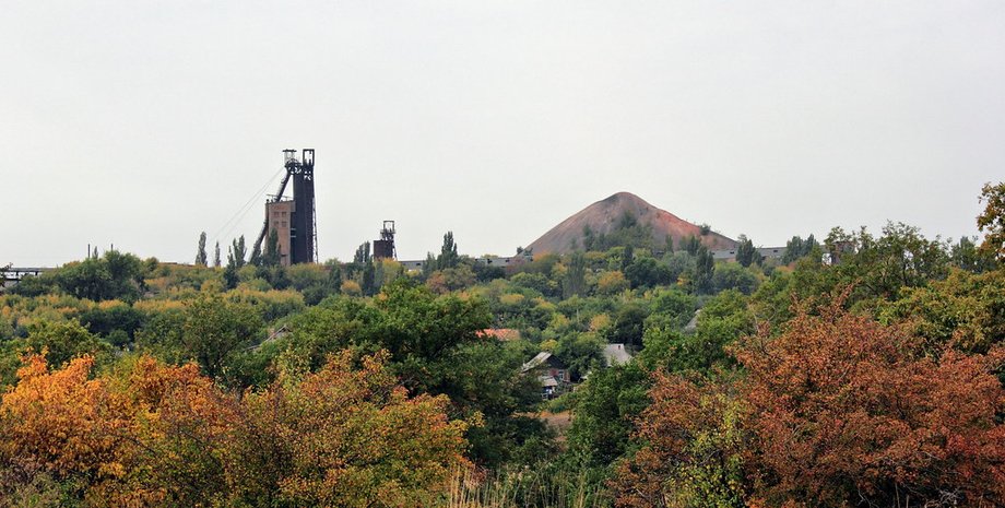 Уголь, лес, Донбасс, прогресс, каменноугольный лес