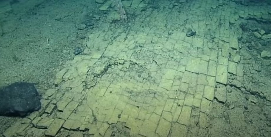 підводний світ