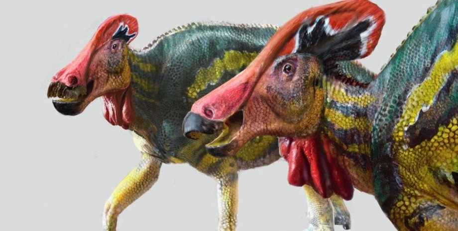 Динозавр Tlatolophus galorum