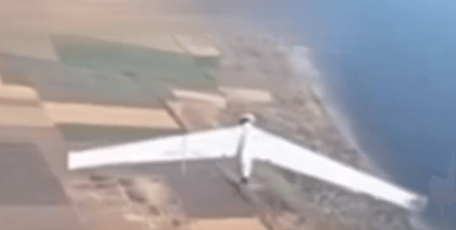 Дрон, БПЛА, Zala, Зала, разведчик, фото