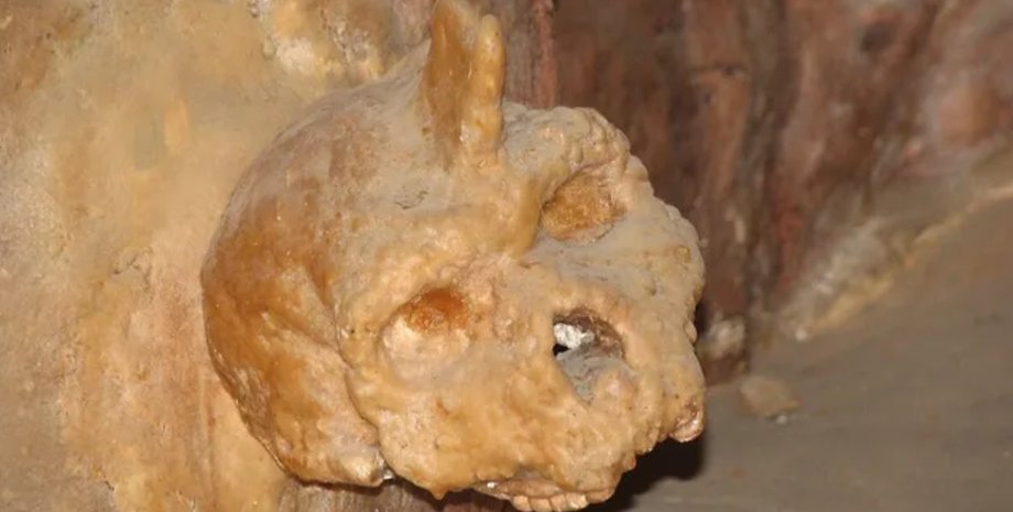 череп древний человек